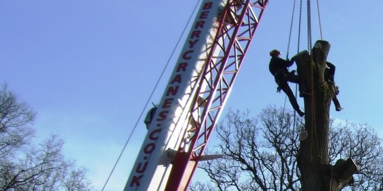 Crane/Mobile Elevated Platform