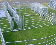 Sheep Handling Equipment